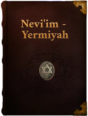 Yermiyah (Book of Jeremiah), Jeremiah