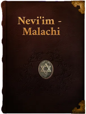 Malachi (Book of Malachi), Malachi