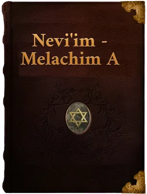 Melachim A (Book of 1 Kings), Unknown