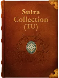 Sutra Collection (TU), Unknown