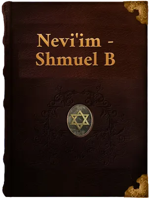 Shmuel B (Book of 2 Samuel), Unknown