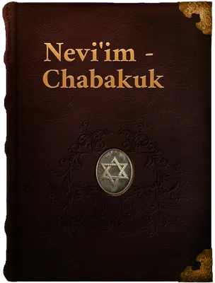 Chabakuk (Book of Habakkuk), Habakkuk