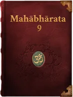 The Mahabharata 9, Vyāsa