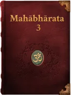 The Mahabharata 3, Vyāsa