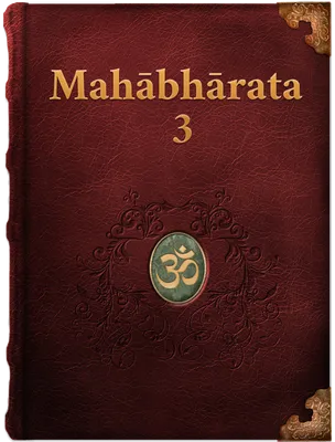 The Mahabharata 3, Vyāsa