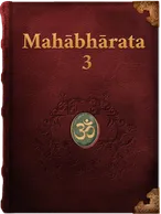 The Mahabharata 3, Vyāsa