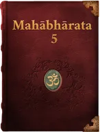 The Mahabharata 5, Vyāsa