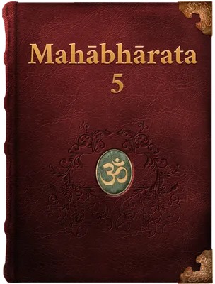 The Mahabharata 5, Vyāsa