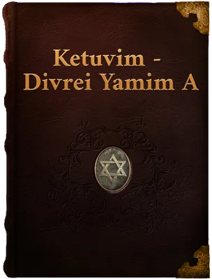 Divrei Yamim A (Book of I Chronicles), Unknown