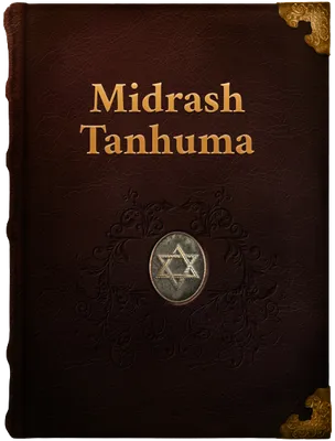 Midrash Tanhuma, Unknown
