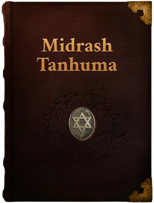 Midrash Tanhuma, Unknown