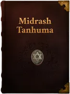 Midrash Tanhuma, Unknown