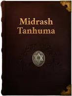 Midrash Tanhuma Unknown