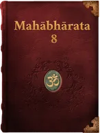 The Mahabharata 8, Vyāsa