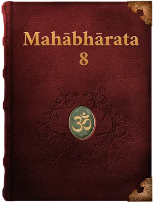 The Mahabharata 8, Vyāsa