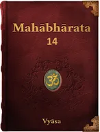 The Mahabharata 14, Vyāsa