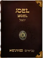 Joel