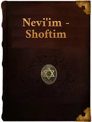 Shoftim (Book of Judges), Unknown
