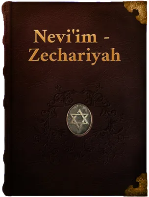 Zechariyah (Book of Zechariah), Zechariah