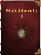 The Mahabharata 6, Vyāsa